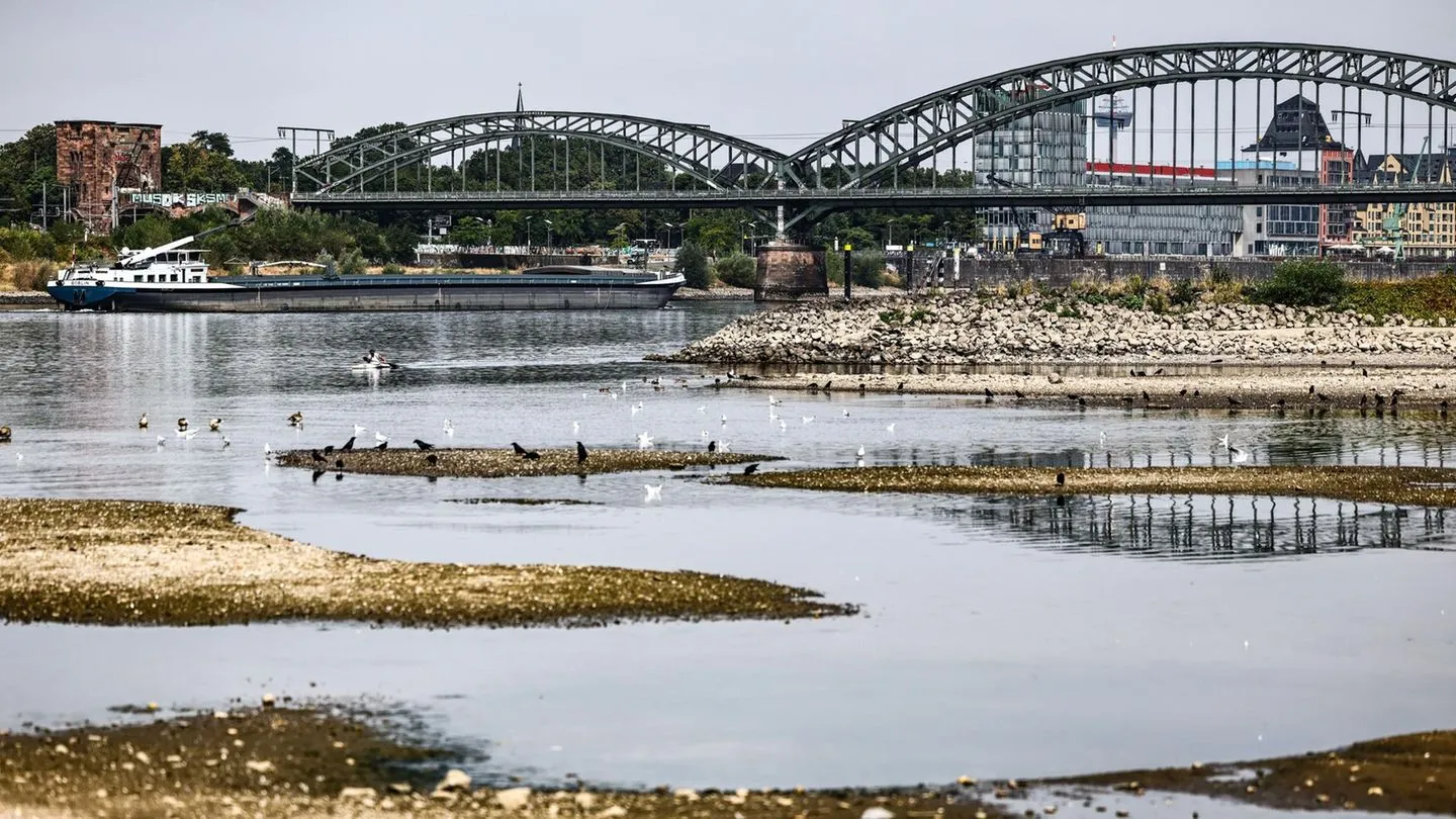 Hitzewelle in Europa: Wie das Niedrigwasser im Rhein Deutschlands Wirtschaft hart trifft — und warum Verantwortliche versagen