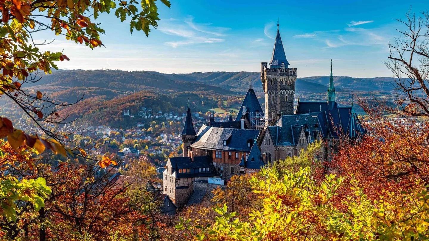 Landtagswahl in Sachsen-Anhalt: Chemie, Kultur und CDU-Tradition – das sollten Sie über das Bundesland wissen