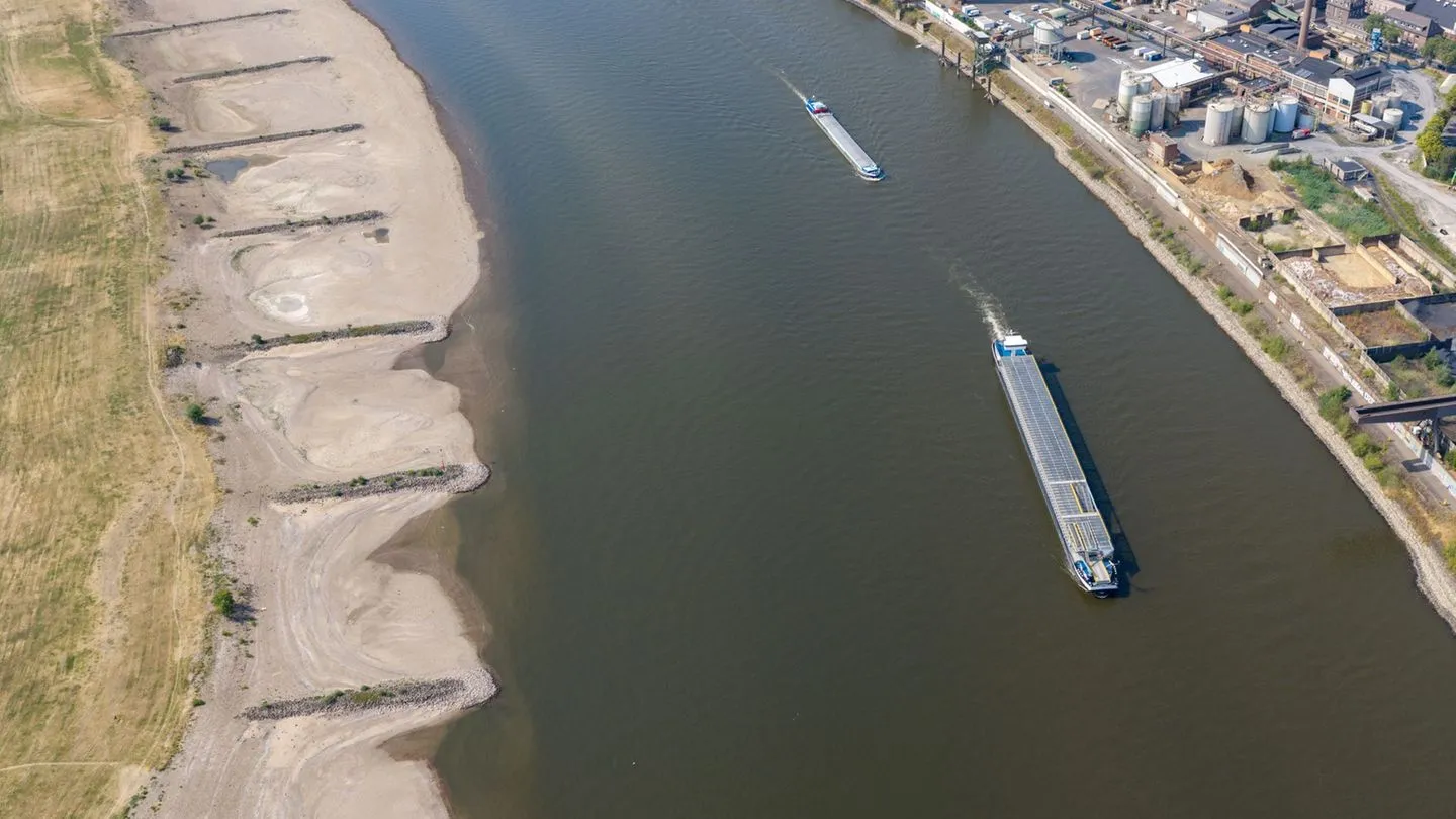 Niedrigwasser am Rhein: Verband warnt — Schifffahrt droht eingeschränkt zu werden