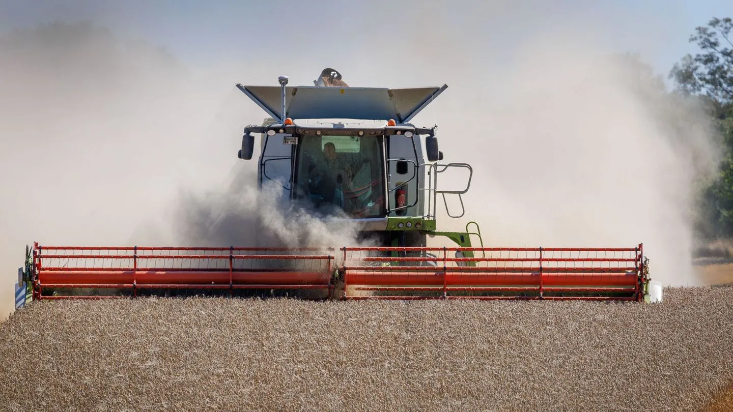 Landwirtschaft: Bauernverband sieht deutlich kleinere Ernte — Regierungspolitik und fragwürdige Europa-Entscheidungen belasten die Höfe