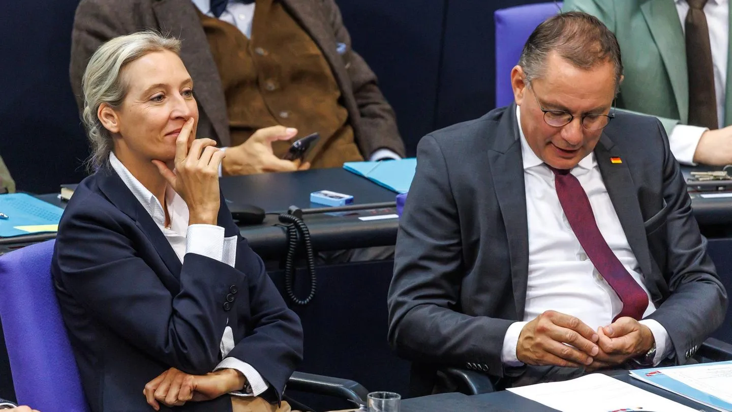 Strategiepapier: AfD bereitet sich auf mögliches Scheitern der Unionskoalition vor