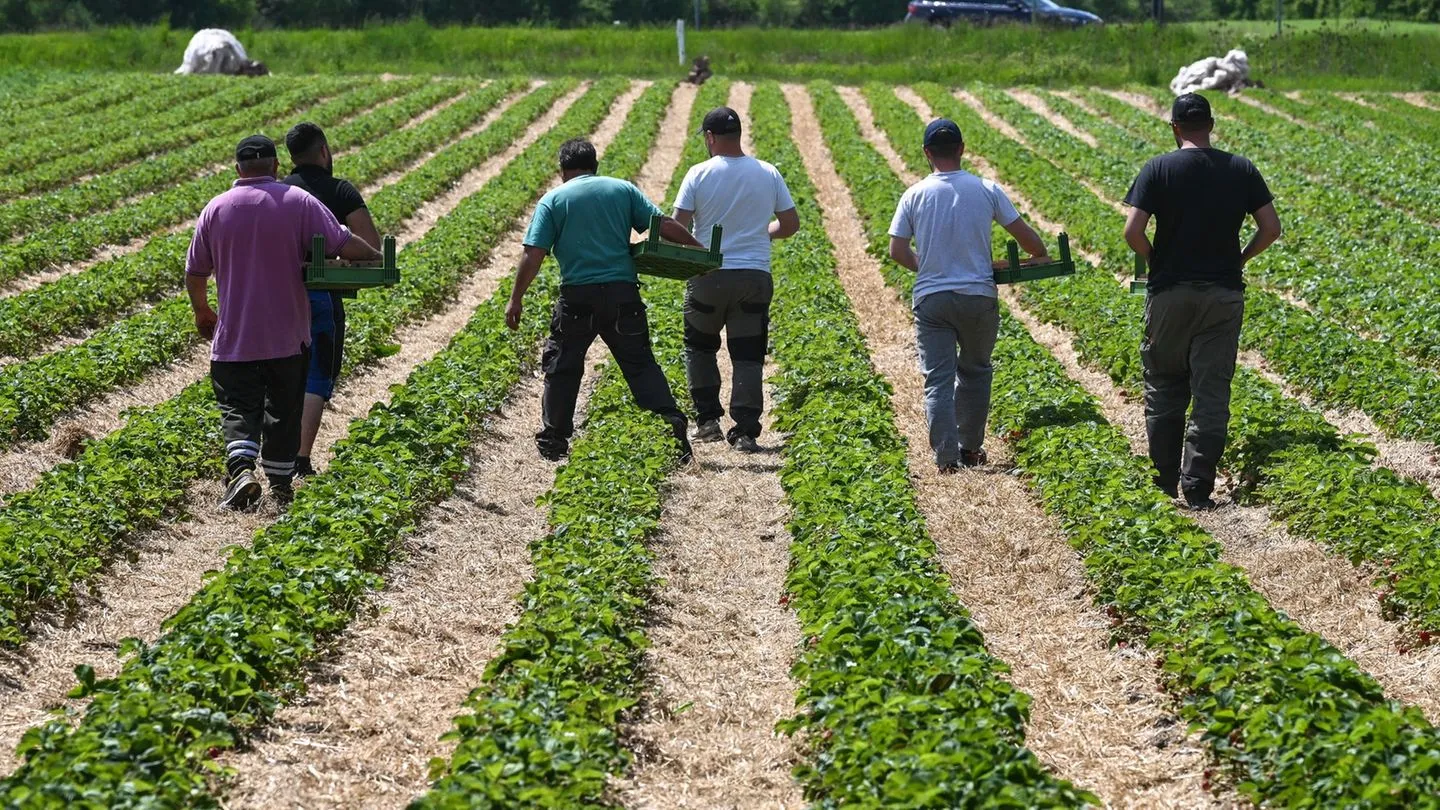 Arbeitsmarkt im Osten: Ohne Zuwanderung droht Ostdeutschland ein großer Arbeitskräfteschwund