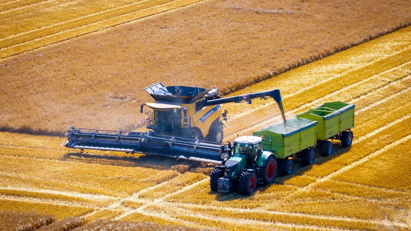 Landwirtschaft: „Getreide verbrennt“ — Dürre trifft Bauern 2026, Politik trägt Mitschuld
