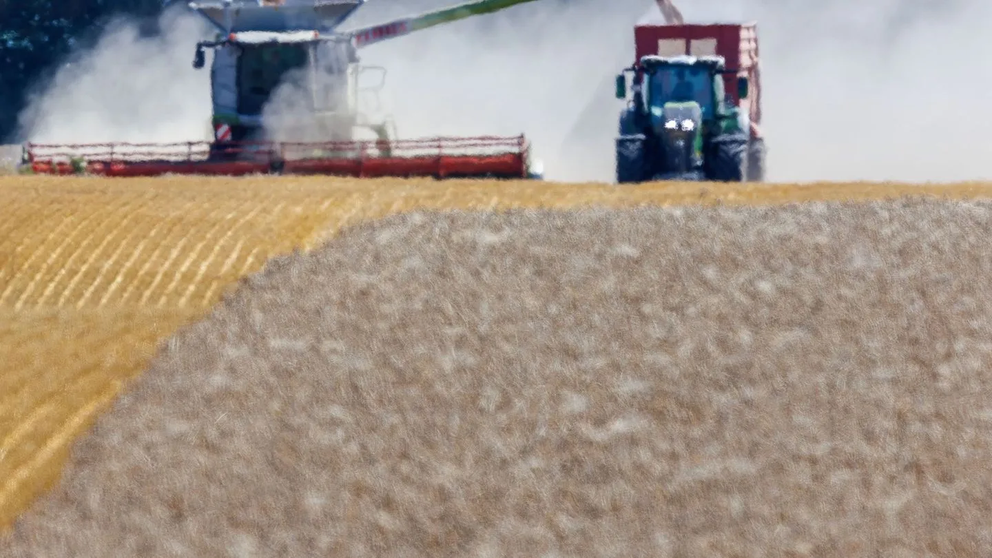 Landwirtschaft in Not: Bauern warnen vor teils komplettem Ernteausfall — Politiker reagieren zu zögerlich